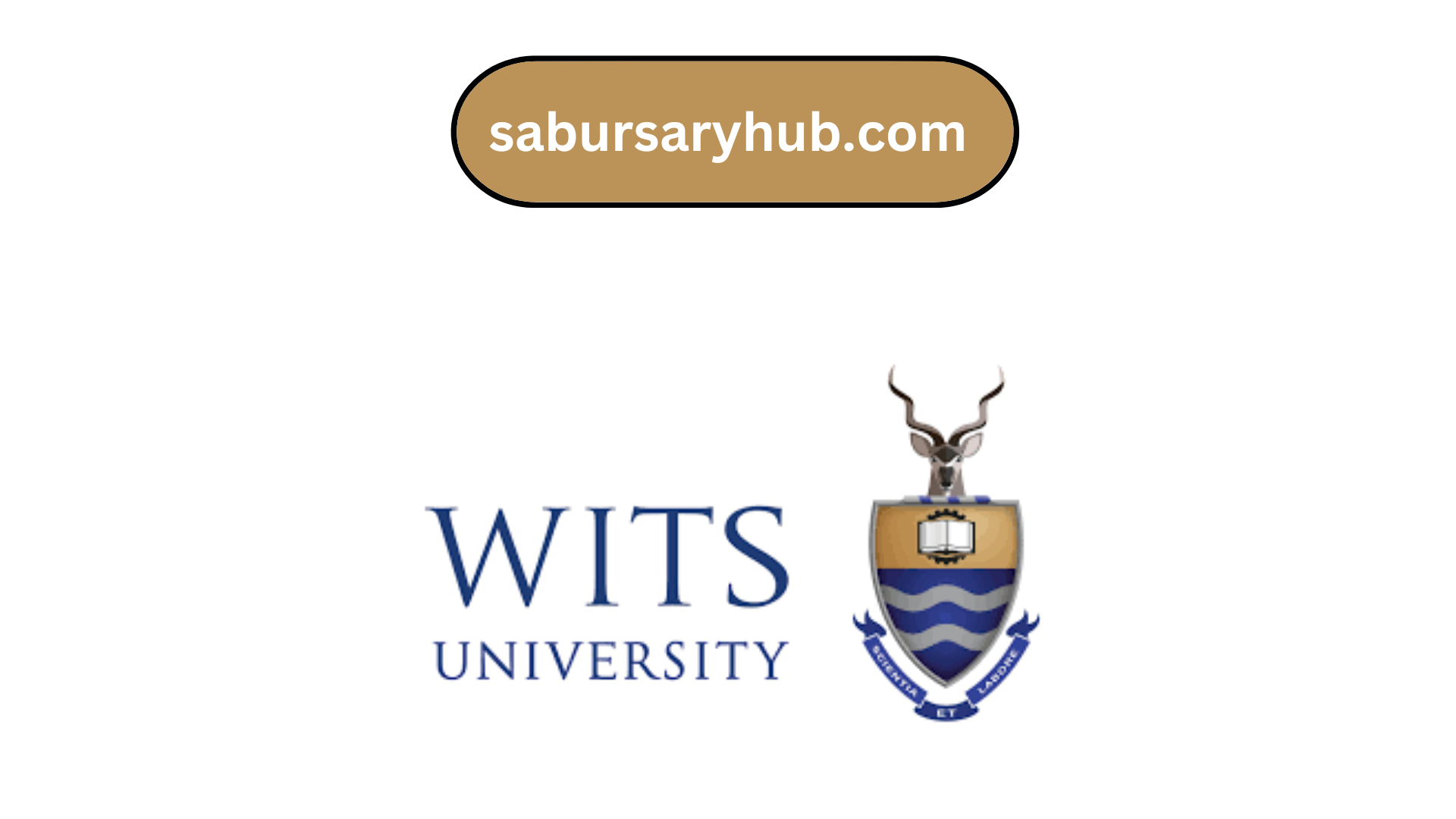 University of the Witwatersrand Admission Requirements (Wits) for 2025